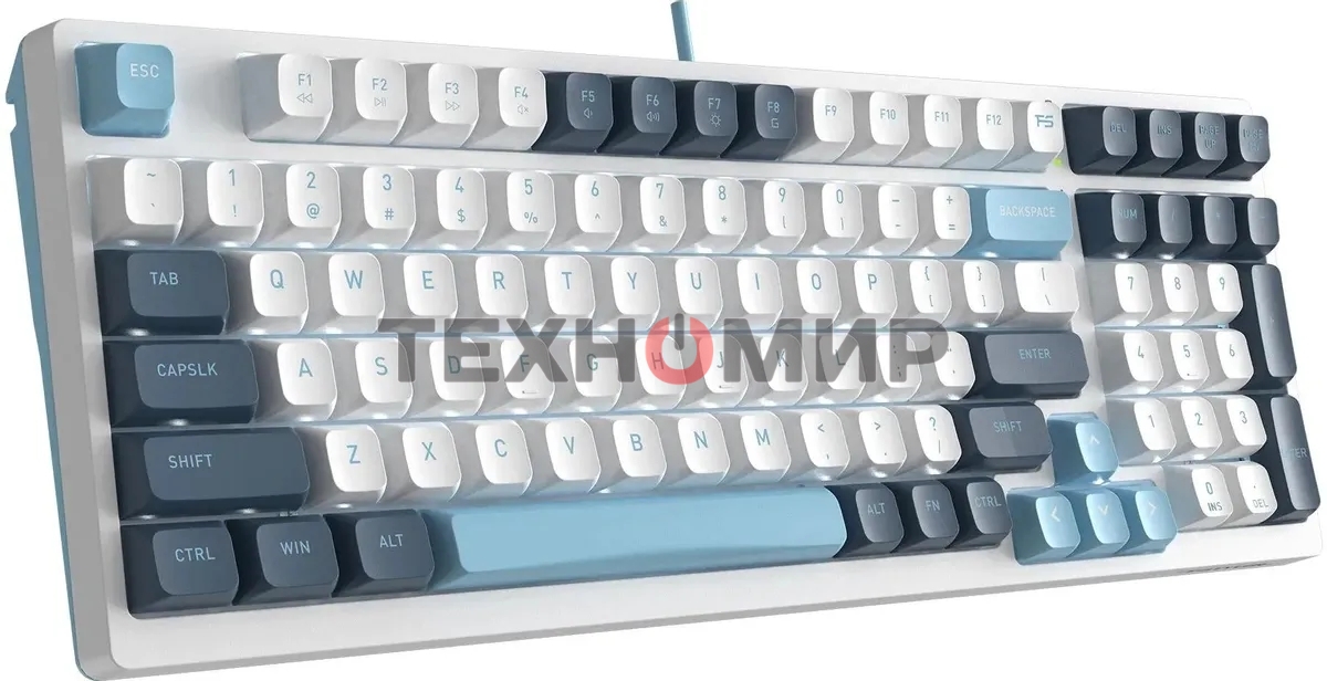 Клавиатура проводная A4Tech Fstyler FS300 (FS300 PANDA SNOWBOARDING), USB, белый/синий