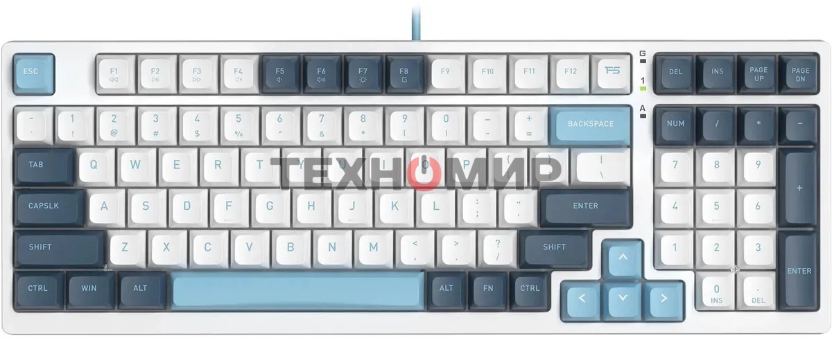 Клавиатура проводная A4Tech Fstyler FS300 (FS300 PANDA SNOWBOARDING), USB, белый/синий