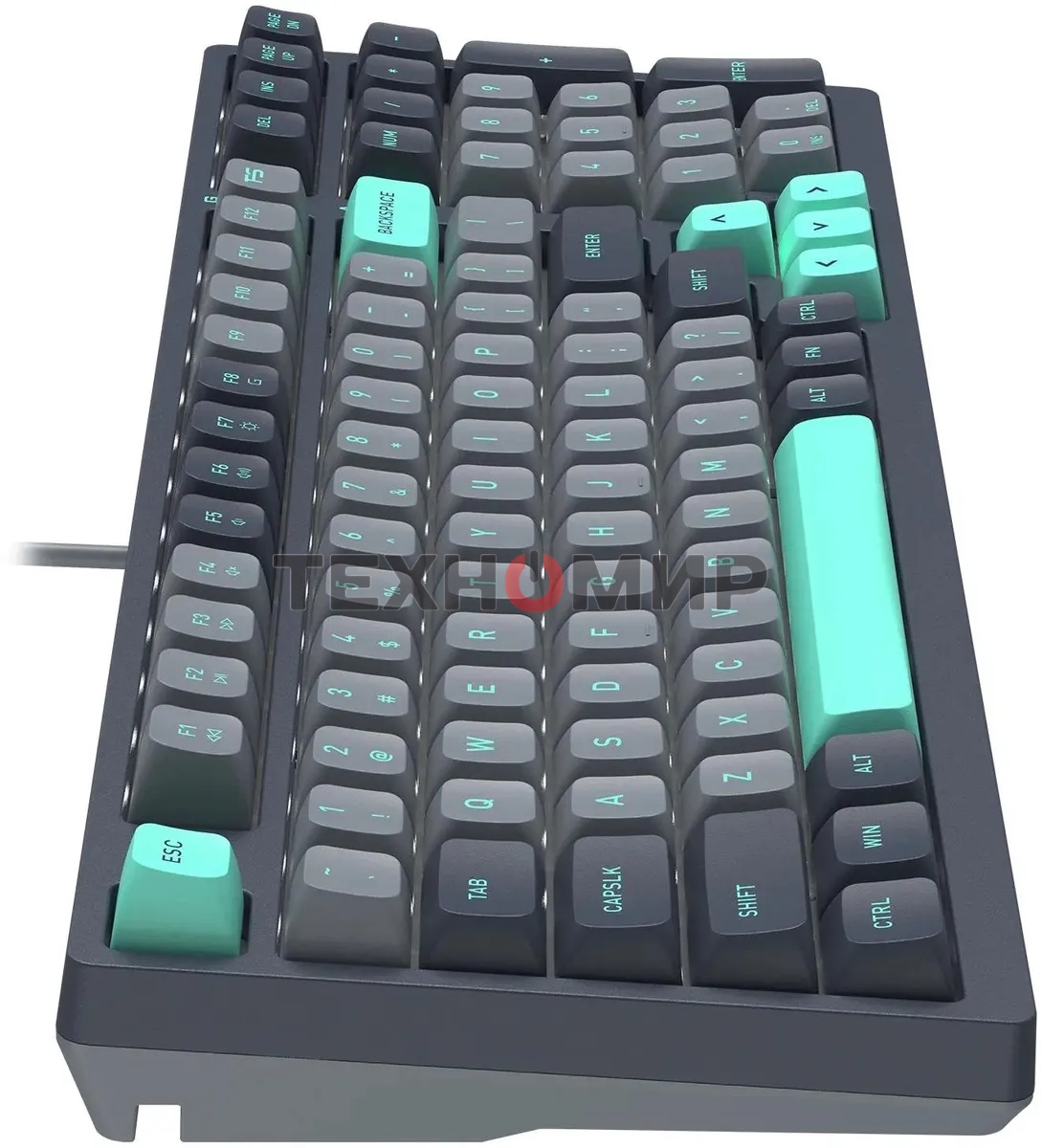 Клавиатура проводная A4Tech Fstyler FS300 механическая черный/серый USB for gamer LED (FS300 PANDA ROCK)