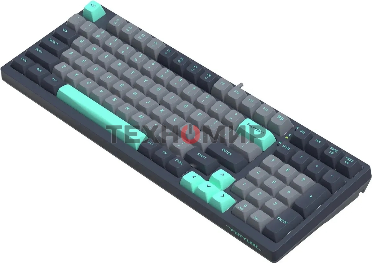 Клавиатура проводная A4Tech Fstyler FS300 механическая черный/серый USB for gamer LED (FS300 PANDA ROCK)