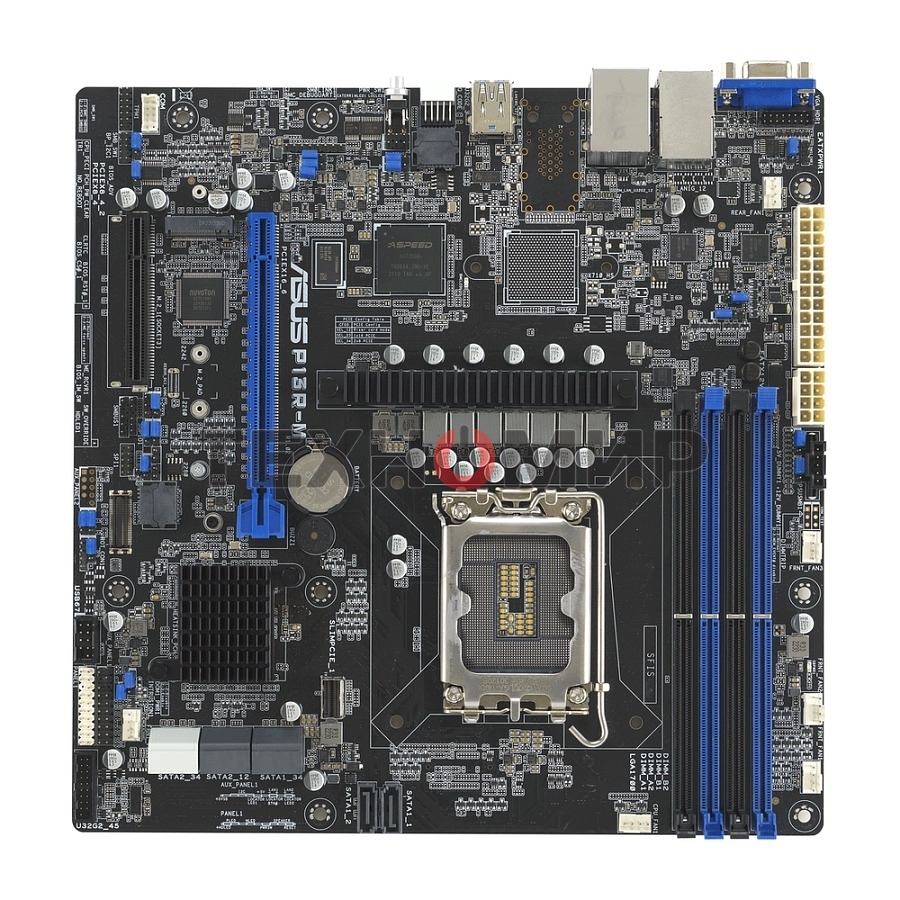 Материнская плата серверная ASUS P13R-M, LGA1700, Intel C262, 4xDDR5 (ECC), 8xSATA, 1xM.2, 1xPCIe 5.0 x16, 1xPCIe 3.0 x8, 1xVGA, 3x1Gb LAN, 3xUSB-A 10Gbps, mATX