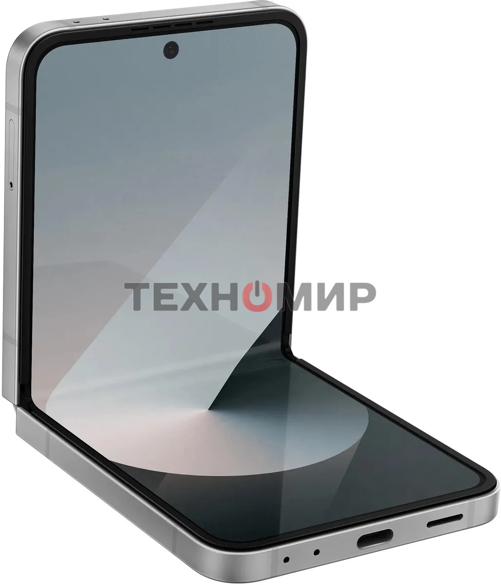 Смартфон Samsung Galaxy Z Flip 6 5G, 12/256Gb, серый