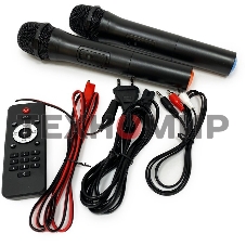 Колонка Eltronic 08