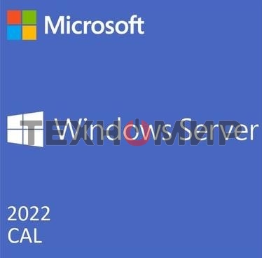Операционная система лицензия OEI WIN SVR 2022 CAL ENG 1PK 1CLT DEV R18-06412 MS