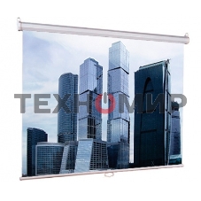 Экраны LUMIEN Eco Picture LEP-100101, 150х150 см, 1:1