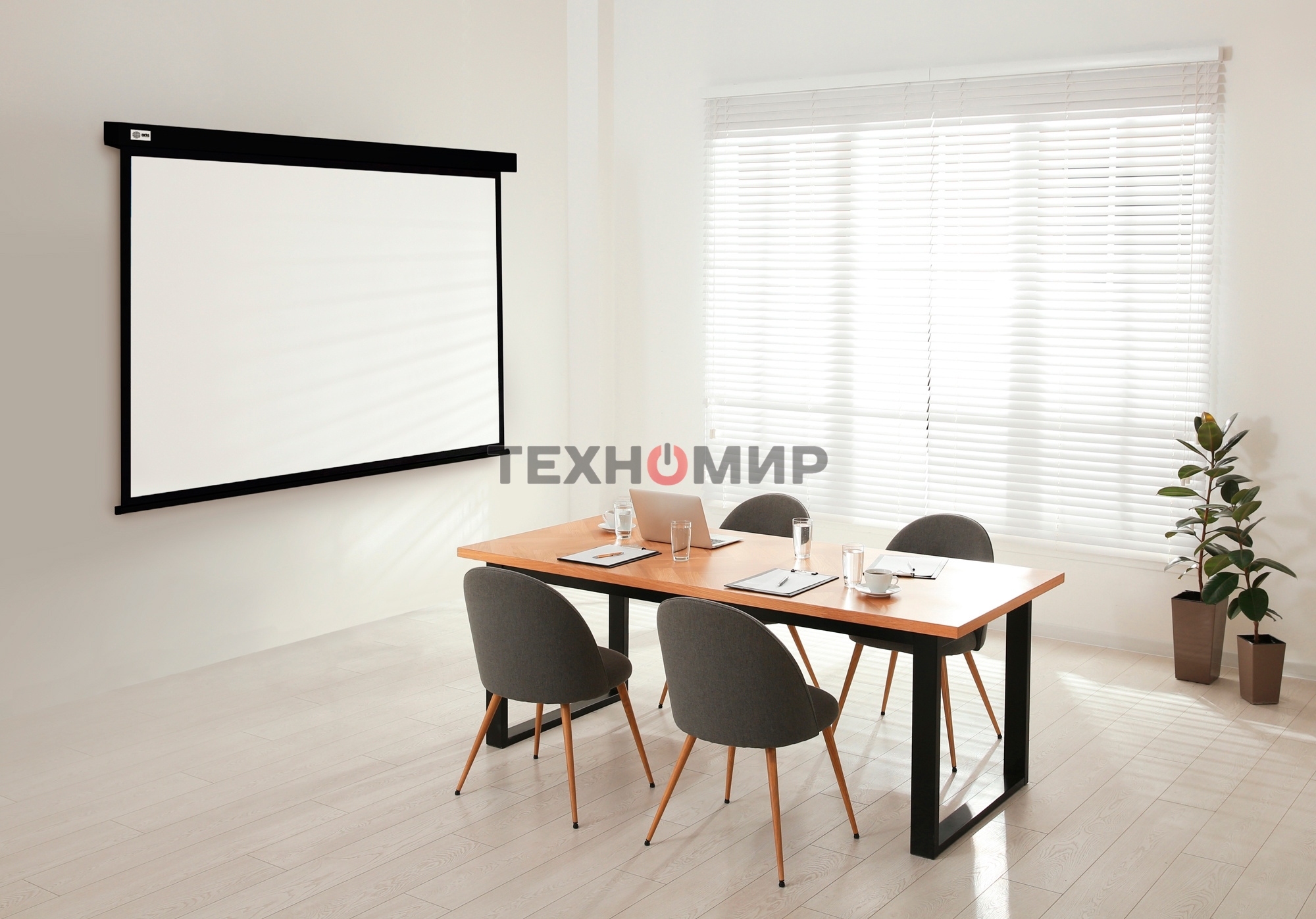 Экран Cactus 124.5x221 см Wallscreen CS-PSW-124X221-BK 16:9 настенно-потолочный рулонный черный