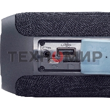 Колонка портатитвная Digma D-PS1510 черный 10W 2.0 BT 10м 1200mAh