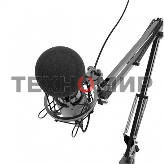 Микрофон Ritmix RDM-180 черный