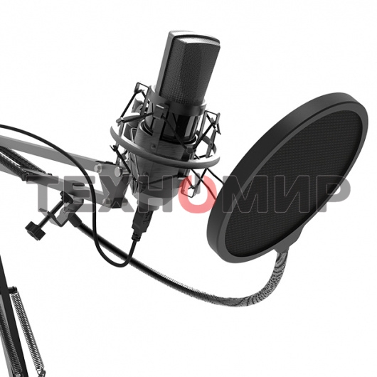 Микрофон Ritmix RDM-180 черный