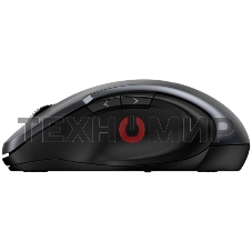 Мышь беспроводная Genius Ergo 8200S серый, 1200 dpi, радиоканал, USB, кнопки - 5