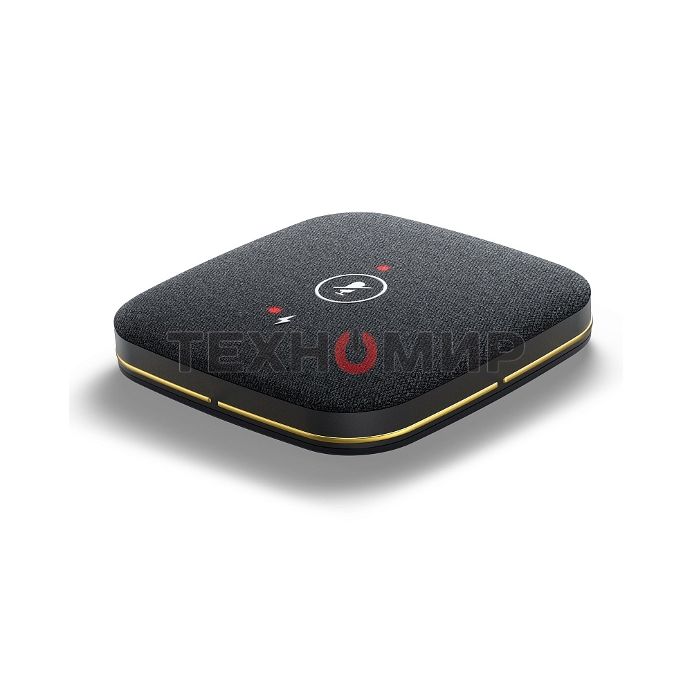 Спикерфон Yealink черный (CPW65-DECT-DUO)