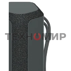 Беспроводная колонка Sony SRS-XE300, черный