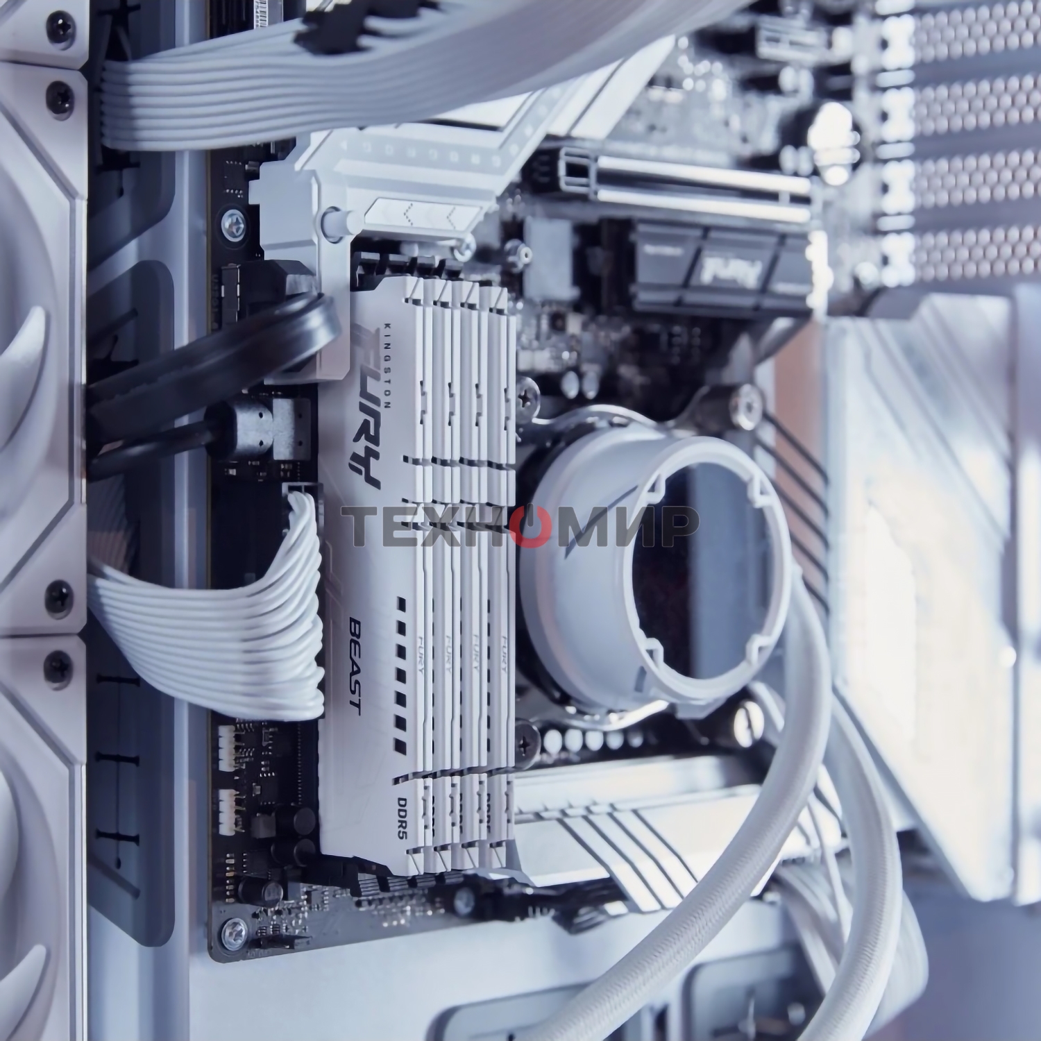 Оперативная память Kingston Fury Beast, DDR5, 16Gb (1x16GB), 5600MHz, CL40, DIMM, радиатор, белый