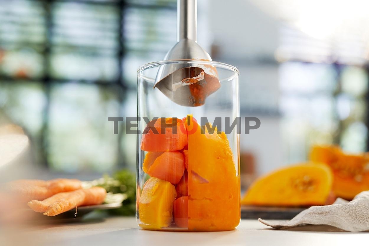 Блендер погружной Philips HR2534/00