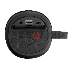 Караоке-система ExeGate Bro 310 Bluetooth черный