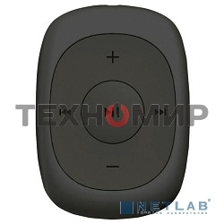 Плеер Flash Digma C2L 4Gb серый/FM/clip