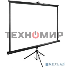 Экран Cactus 160x160 см TriExpert CS-PSTE-160x160-BK 1:1 напольный рулонный