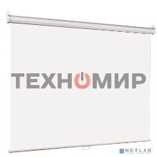 Настенный экран Lumien Eco Picture LEP-100106 127х127см (рабочая область 121х121 см) Matte White восьмигранный корпус, возможность потолочн./настенного крепления, уровень в комплекте, 1:1 (треугольная упаковка)