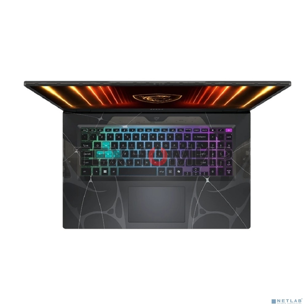 Ноутбук MSI Cyborg 17 B13WFKG-218XRU Intel Core i5-13420H/16Gb/SSD 1Tb/RTX 5060 8Gb/17.3