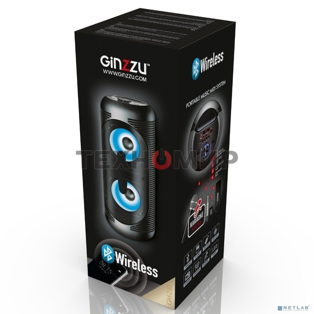 Акустическая система Ginzzu GM-210 Midi RGB/BT/USB/TF/FM/ДУ черный