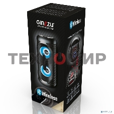 Акустическая система Ginzzu GM-210 Midi RGB/BT/USB/TF/FM/ДУ черный