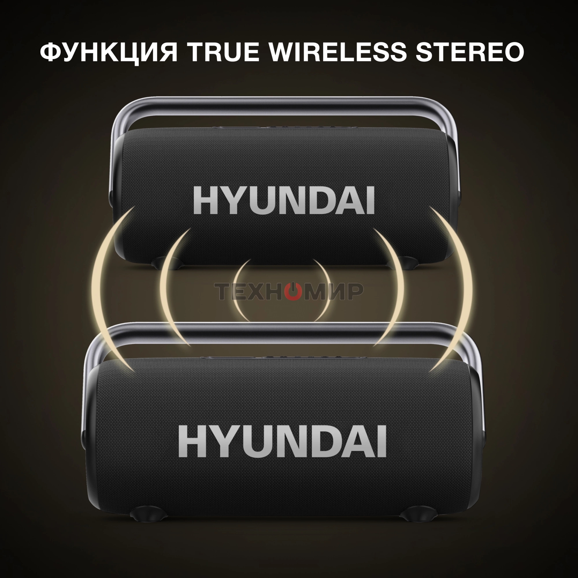 Портативная колонка Hyundai H-PS1029 черный 220W 4.1 BT 10м 4800mAh