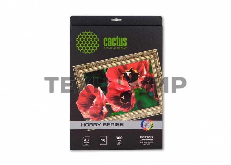 Холст Cactus CS-СA326010 A3/10л. для струйной печати