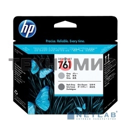 Картридж струйный HP 761 CH647A темно-серый/серый печатающая головка для HP DJ T7100