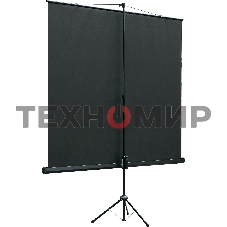 Экран на штативе Lumien Eco View 220x220 см (раб.область 214х214 см) Matte White с возможностью настенного крепления 1:1