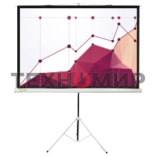 Экран Cactus 180x180 см Triscreen CS-PST-180x180 1:1 напольный рулонный белый