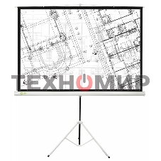 Экран Cactus 127x127см Triscreen CS-PST-127X127 1:1 напольный рулонный белый