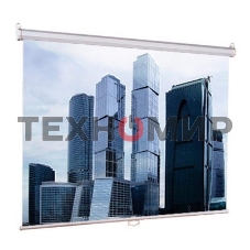 Экран Lumien 160x160 см Eco Picture LEP-100105 1:1 настенно-потолочный рулонный