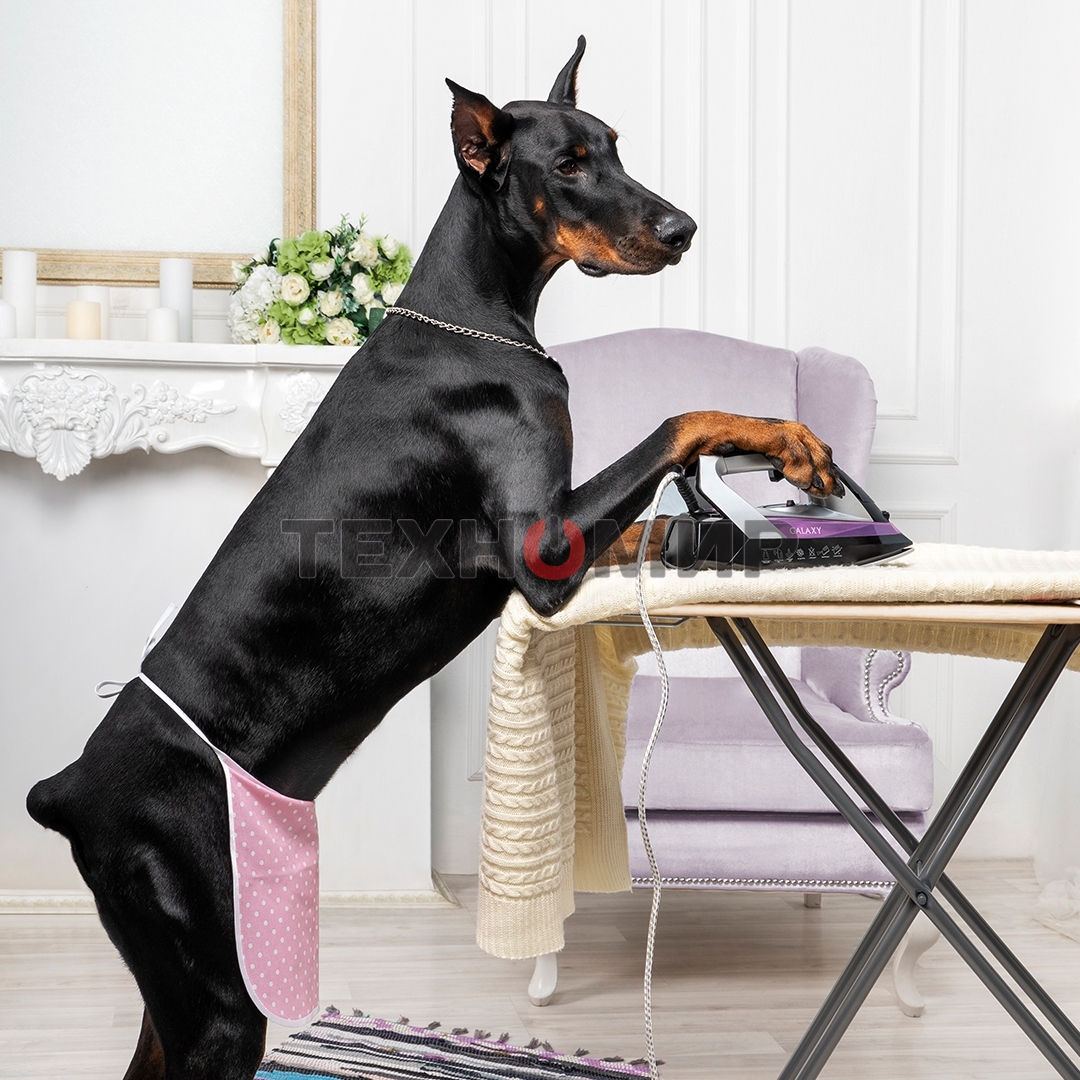 Утюг Galaxy Line GL 6128, фиолетовый с черным, паровой, 2200 Вт, постоянный пар 30 г/мин, паровой удар 140 г/мин, функции: самоочистка, антикапля, антинакипь, функция увлажнения, вертикальное отпаривание, защита от перегрева, индикатор нагрева, керамическ