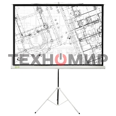 Экран Cactus 127x127см Triscreen CS-PST-127X127 1:1 напольный рулонный белый