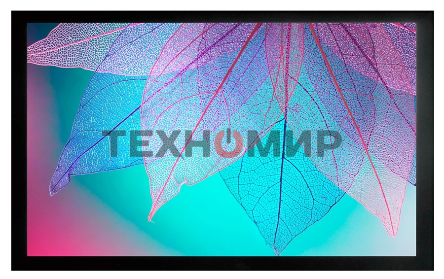 Экран на раме Cactus 124x220 см FrameExpert CS-PSFRE-220X124 16:9 настенный натяжной