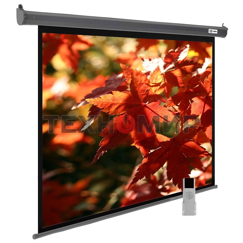 Экран Cactus 150x200 см SIlverMotoExpert CS-PSSME-200X150-DG 4:3 настенно-потолочный рулонный темно-серый (моторизованный привод)