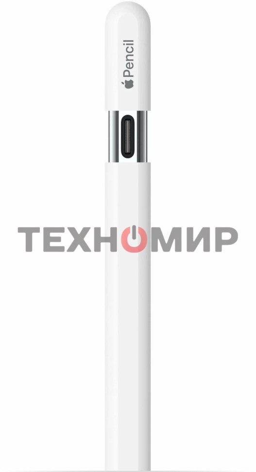 Перо-карандаш Apple Pencil (USB-C)