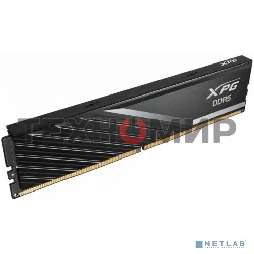 Оперативная память XPG Lancer Blade, DDR5, 32GB (2x16GB), 5600MHz, CL46, DIMM, с радиаторами, черный