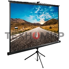 Экран Cactus 160x160 см TriExpert CS-PSTE-160x160-BK 1:1 напольный рулонный