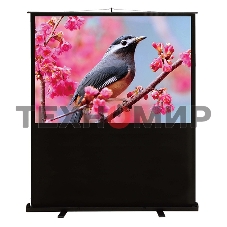 Экран Cactus 90x120 см FloorCompactExpert CS-PSFLCE-120X90 4:3 напольный рулонный