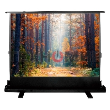 Экран Cactus 135x180 см FloorExpert CS-PSFLE-180X135 4:3 напольный рулонный