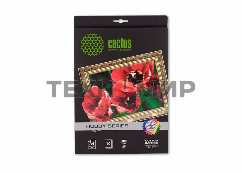 Холст Cactus CS-CA426010 A4/260г/м2/10л. для струйной печати