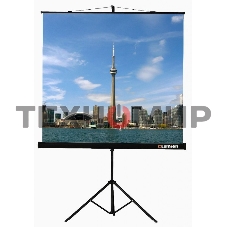 Экран на треноге Lumien 150x150 см Eco View LEV-100101 1:1 напольный рулонный