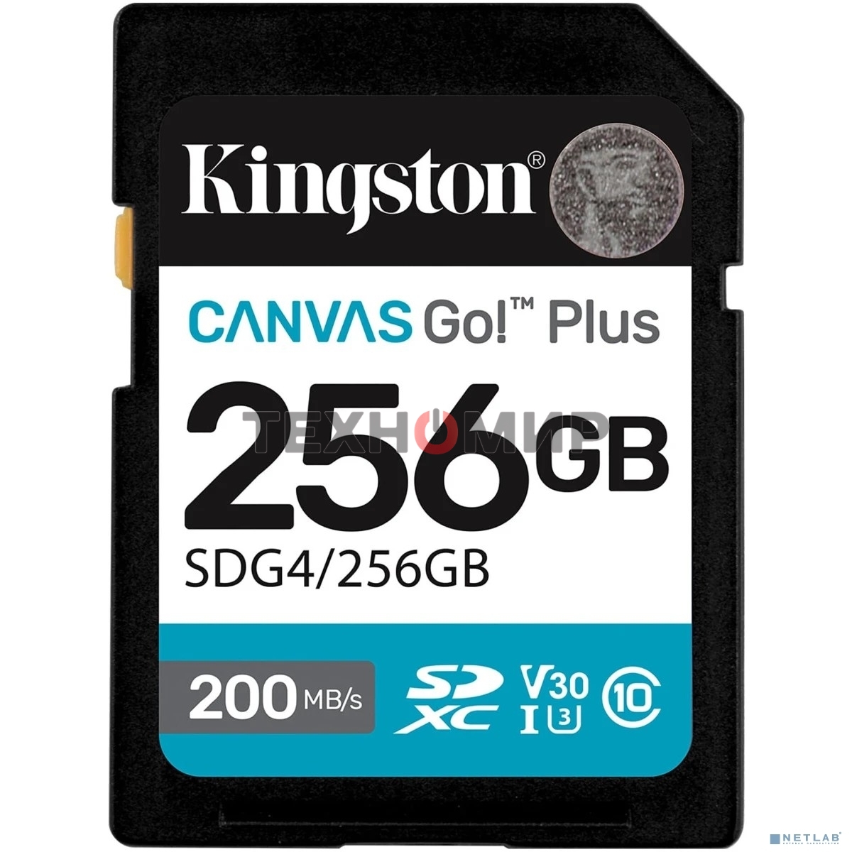 Флеш карта SDXC 256Gb Kingston SDG4/256Gb Canvas Go! Plus V30