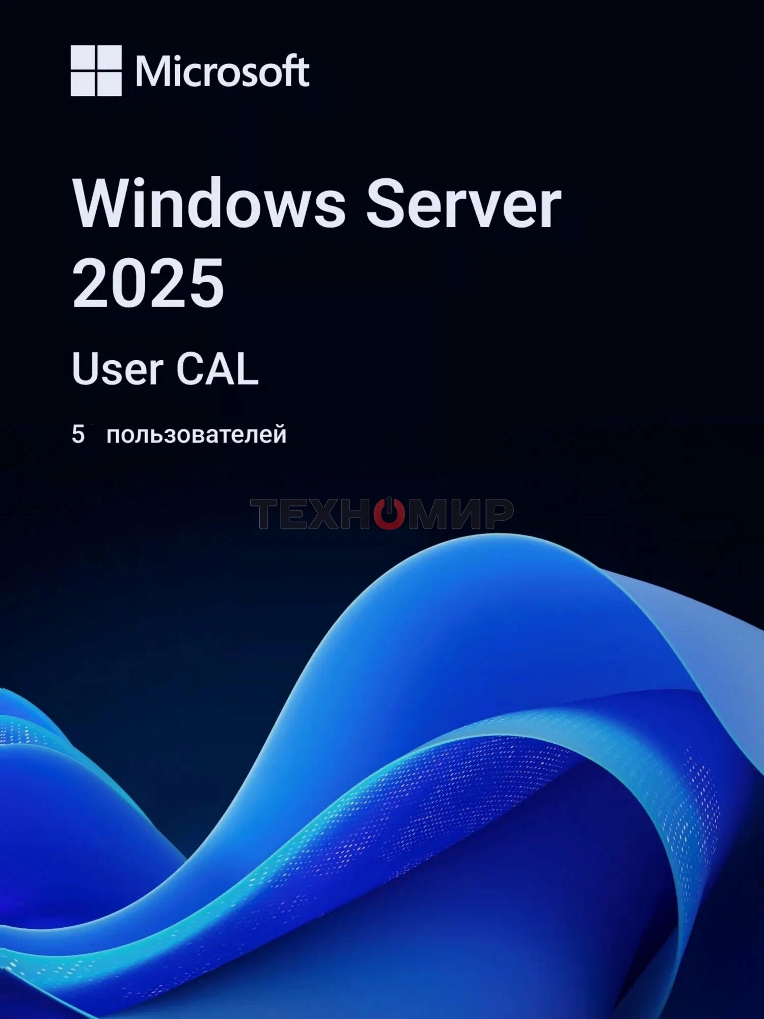 Операционная система Microsoft Windows Server CAL 2025 English 1pk DSP OEI 5 Clt User CAL (EP2-25279)