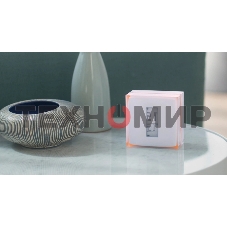 Умный термостат для управления отоплением NTH01-EN-EU NETATMO NTH01-EN-EU Netatmo Thermostat (EN)