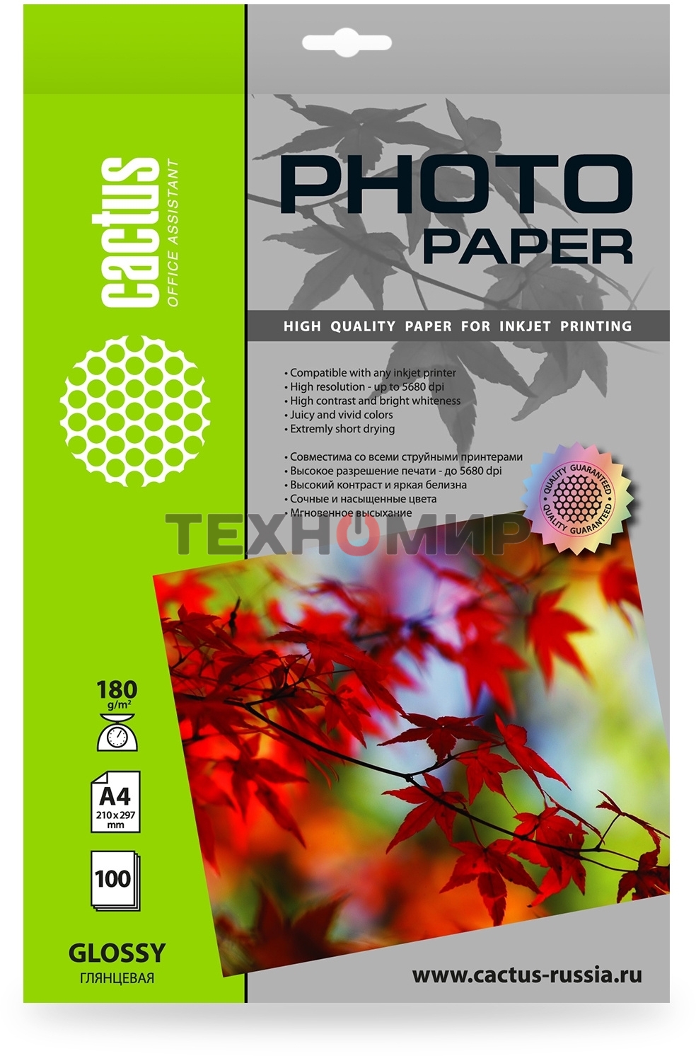 Фотобумага Cactus CS-GA4180100 A4/180г/м2/100л./белый глянцевое для струйной печати