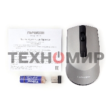 Мышь беспроводная Гарнизон GMW-475 серый, 1000 dpi, радиоканал, USB, кнопки - 3