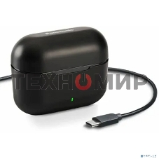 Наушники вкладыши Panasonic RZ-B110WDG-K