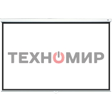 Настенный экран Lumien Eco Picture 229х305 см (рабочая область 221х297 см) Matte White прямоуголный корпус, возможность потолочн./настенного крепления, уровень в комплекте, 4:3